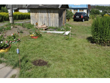 ������ � ���� ��� ���������. ������� ���� vishenk�