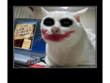 �� �������������� � ��������! :)