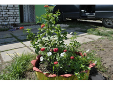 ��������� � �����������