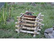 ����� - ��������� 