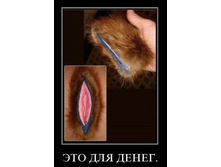 ��� ������� �����! :)))