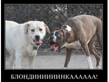 ������... :)