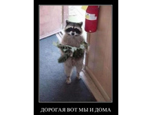 ���������...