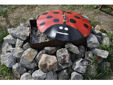 ��� ������