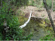 ������, ���������� �������