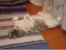 � ������, ������, ������, � ����� �� �����)))