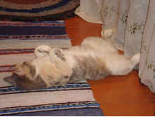 ����� ������� ��� �����)))