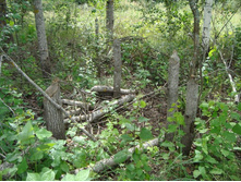 ������ �����)))))