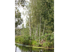 ������� � ���������