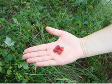 ������ ������, ������, �� �� ����� ������ ������ � �������)))