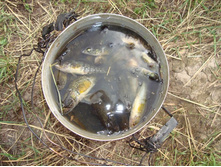 � ������ ������� ����� ����))) 