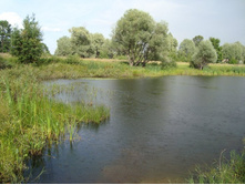 ��� �� ���� ������� � �������� �������