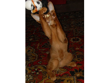 ����������� 083.jpg