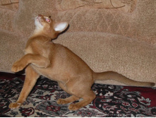 ����������� 064.jpg