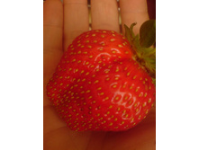 ���� �� �������