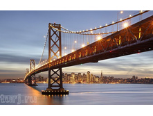 ���-���������