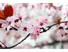 ����� IMG_6651.jpg