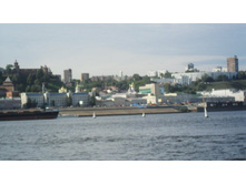 SAM_3118.JPG