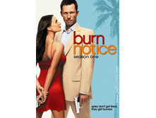 burnnoticemaiamiposter.jpg
