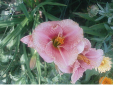 ���������� ��������