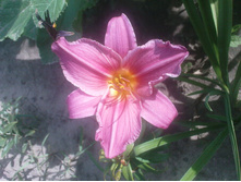 ���������� ��������