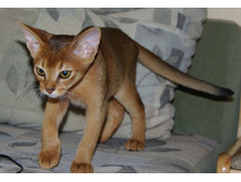 �� ������ IMGP3815.JPG