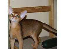 �� ����� IMGP3810.JPG