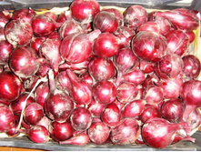 ����� ��������.JPG