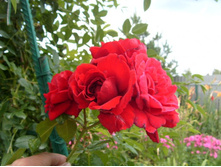 ��������� ����� ��� ������.JPG