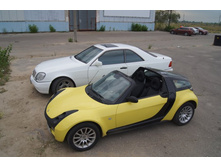 DSC01248_����� ������.JPG