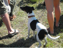 ������1 122.JPG