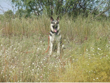 ������2 019.JPG