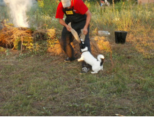 ������2 073.JPG