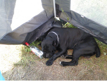 ������3 020.JPG