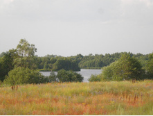 ������3 031.JPG