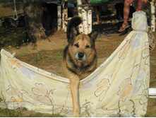 ������3 035.JPG