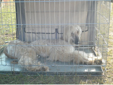 ������3 041.JPG