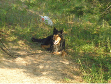 ������3 043.JPG