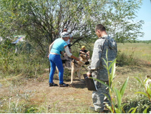 ������4 024.JPG