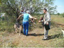 ������4 025.JPG