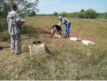 ������4 028.JPG