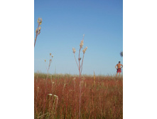 ������4 060.JPG