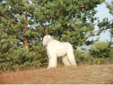 ������4 103.JPG