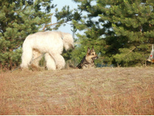 ������4 104.JPG