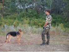 ������4 113.JPG