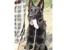 ������4 135.JPG