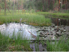 ����� ��� 038.jpg