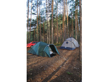 ������ ����.jpg