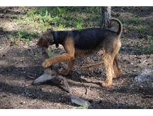 ������ ������ ������.jpg