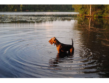 ������ �� ������.jpg